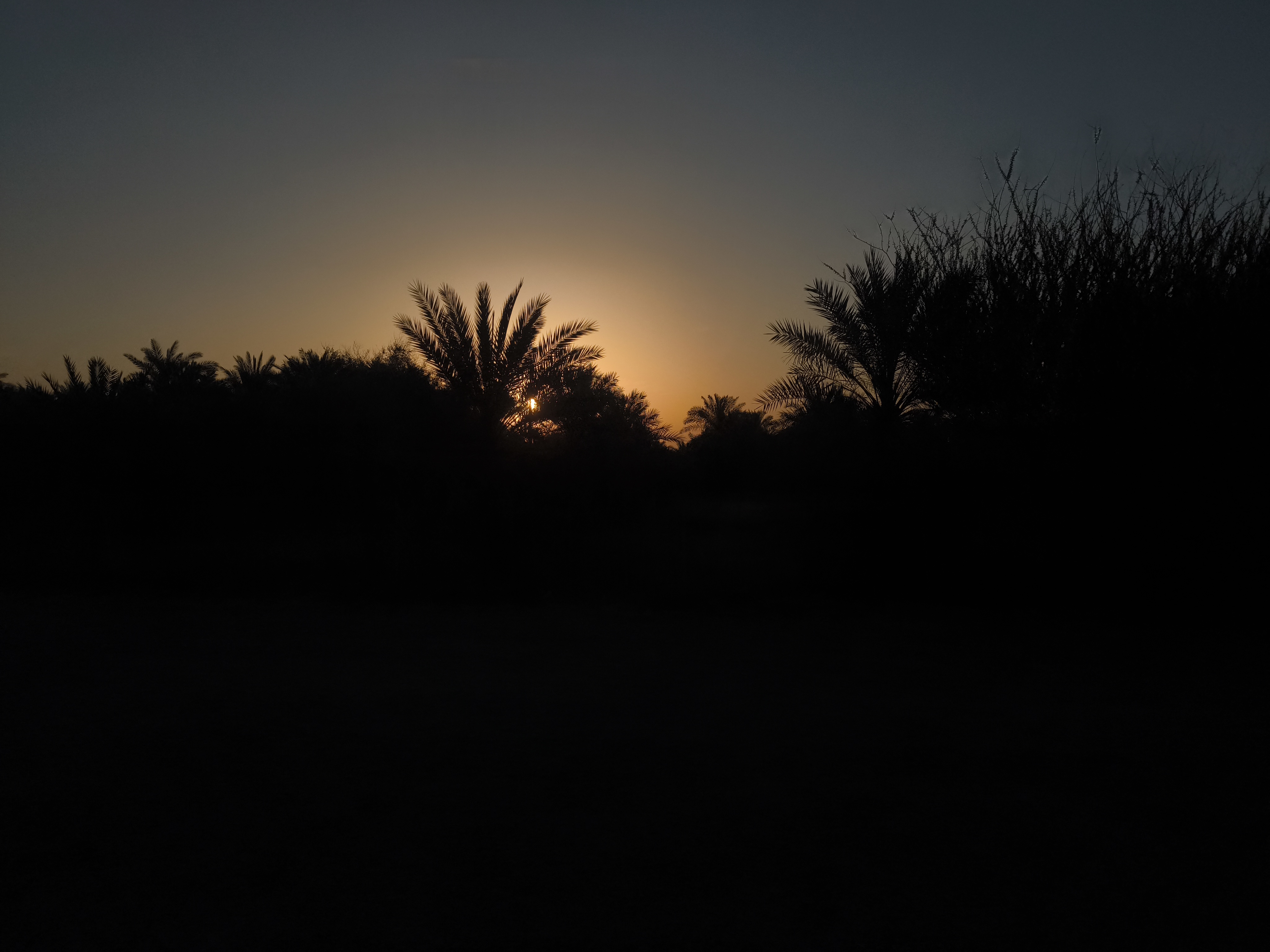 IMG_20250407_061845
